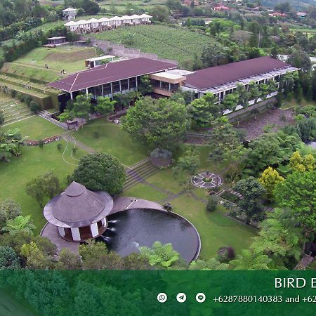 Amaryllis Boutique Resort Paragajen Exteriér fotografie